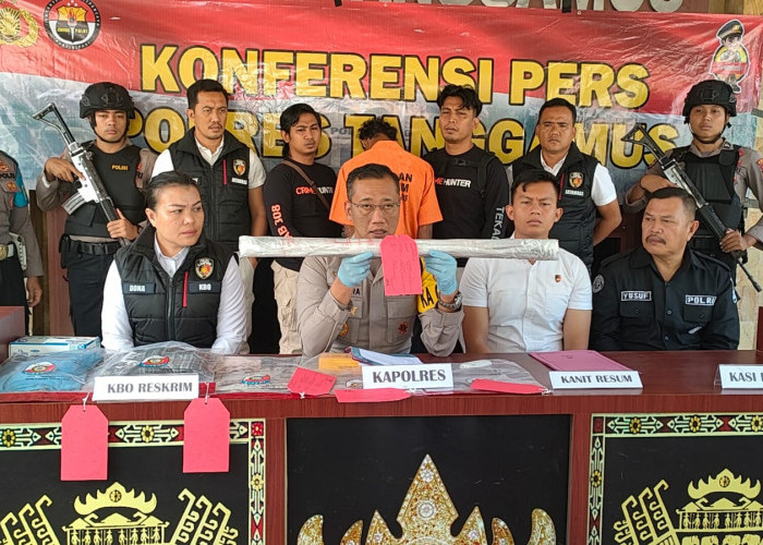 Polres Tanggamus Ungkap Kasus Pembunuh IRT di Semaka, Tersangka Dibekuk