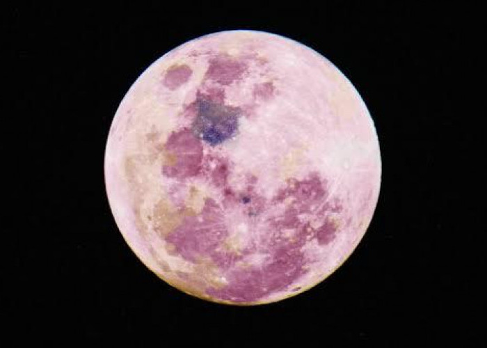 Pink Moon 2026 Bisa Dilihat Tanpa Teleskop, Ini Waktu dan Cara Terbaik Menyaksikannya