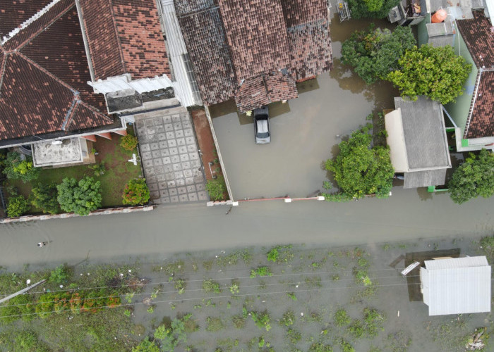 Banjir Telan Korban di Bandar Lampung, WALHI: Ini Bukan Bencana Alam, Tapi Salah Tata Kelola Kota