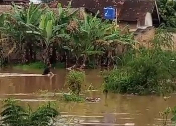 Main Hujan, Bocah Kelas 4 SD di Rajabasa Hanyut Terseret Arus Sungai