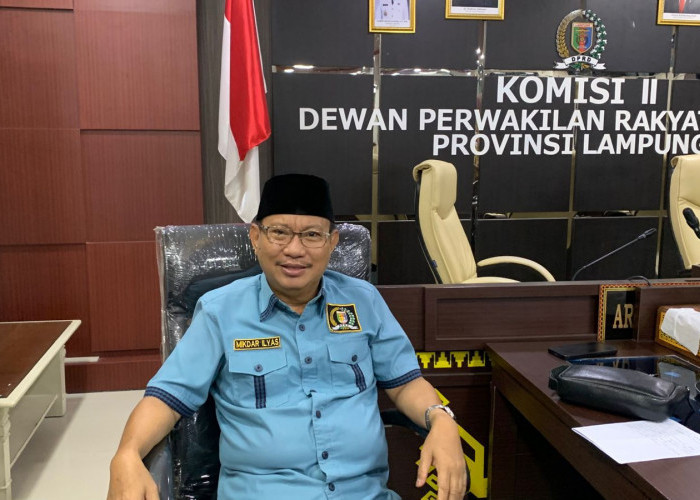 Produk Tanpa Izin Edar Ditemukan Saat Sidak Pasar dan Supermarket, DPRD Lampung Minta Pelaku Usaha Urus PIRT