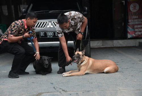Lebih Dekat dengan Anjing Pelacak BNNP Lampung, Jessi dan Tina Pernah Sukses Ungkap 40 Kg Sabu-Sabu