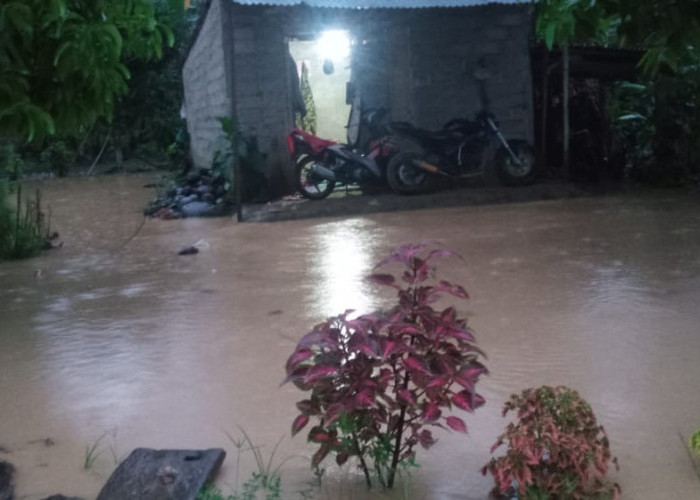Way Samang Meluap, Sejumlah Rumah di Lampung Barat Terendam Banjir