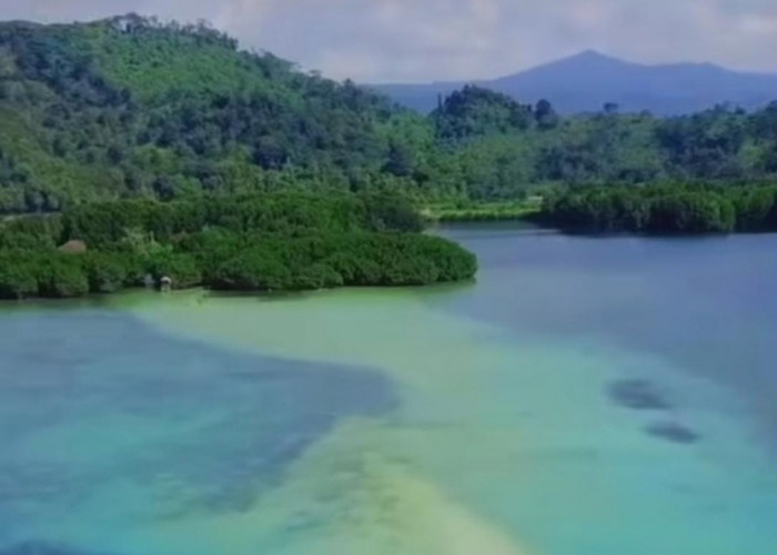 4 Rekomendasi Pulau di Kabupaten Pesawaran yang Kece, Surga Dunia Bagi Kamu Hobby Snorkeling