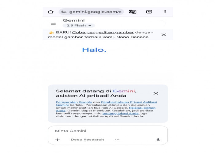 Tawaran Terbatas untuk Mahasiwa! Gratis Gemini AI Pro Selama 1 Tahun, Begini Caranya
