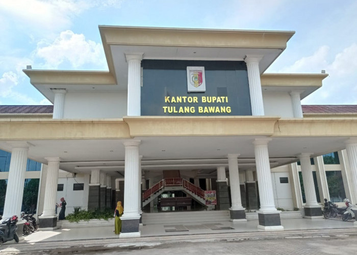 Portal Data Tulang Bawang Terintegrasi Dengan Satu Data Indonesia, Perkuat Tata Kelola Data Yang Terbuka 