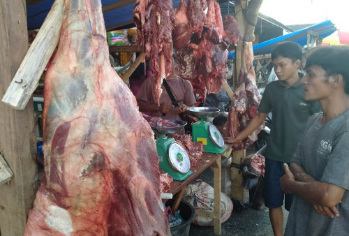 Waduh! Harga Daging di Tanggamus Bikin Geleng-geleng