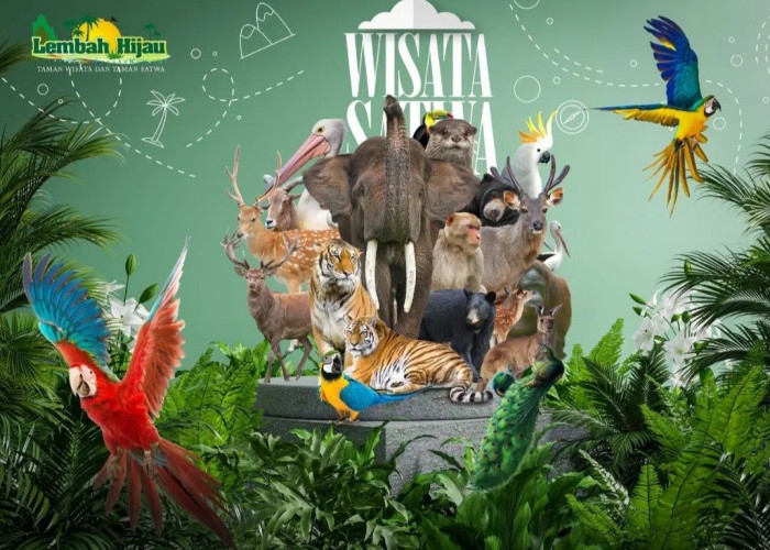 4 Pesona Wisata Satwa Mamalia di Lampung, Nomor 3 Cocok Peneliti Sains Fauna
