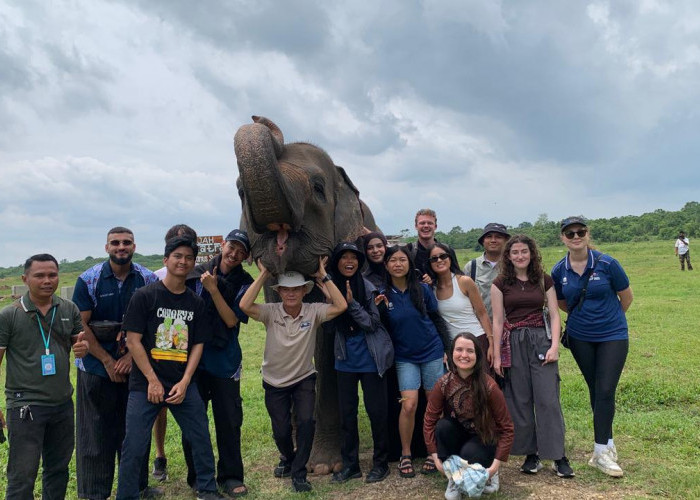 Modal Kuota dan Konten Sederhana, UMKM Wisata Ini Sukses Angkat Wisata Way Kambas hingga ke Turis Mancanegara