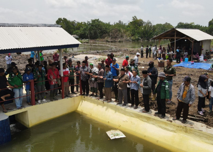 Habiskan Anggaran Ratusan Juta Hasil Swadaya Petambak Tulang Bawang, Pintu DAM Blok 14 Akhirnya Rampung