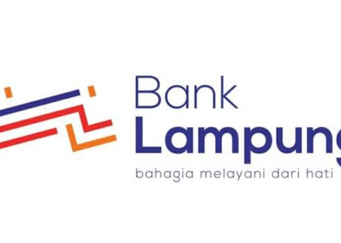 'Kursi Dingin' Dirut Bank Lampung, Ada Apa Dengan Presley Mundur?