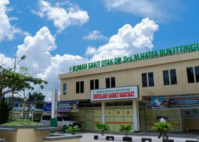 Tiga Rumah Sakit Khusus Melayani Kesehatan Otak, Nomor 1 Berada di Kota Wisata Sumatera Barat 