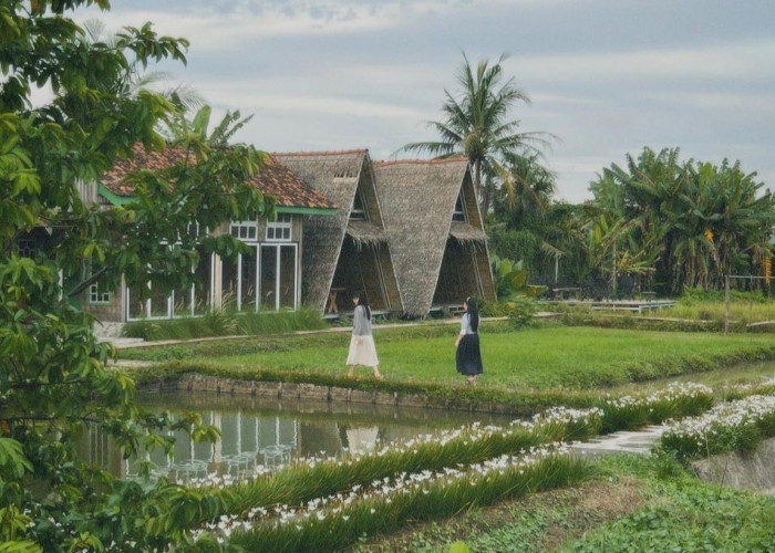 Wisata Kampung BW Pringsewu Tawarkan Suasana Khas Lombok dan Jawa Barat, Jadi Referensi Liburan Keluarga