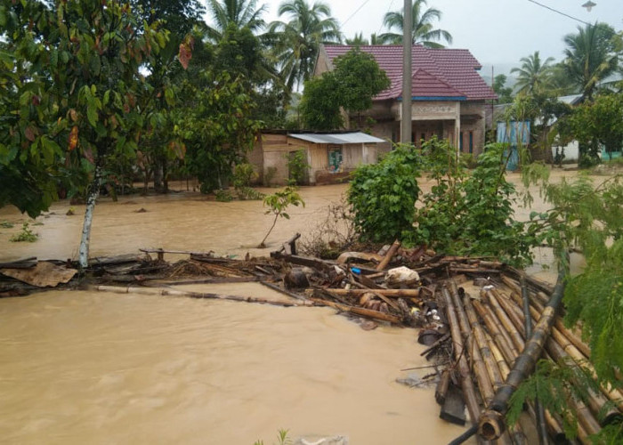 Lima Pekon di Kecamatan Bandar Negeri Suoh Terendam 