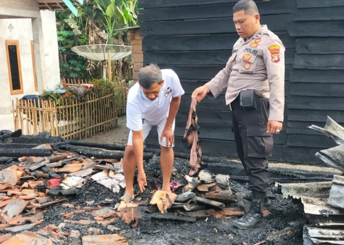 Jago Merah Hanguskan Rumah Warga Semaka Tanggamus Lampung, Kerugian Mencapai Seratusan Juta 