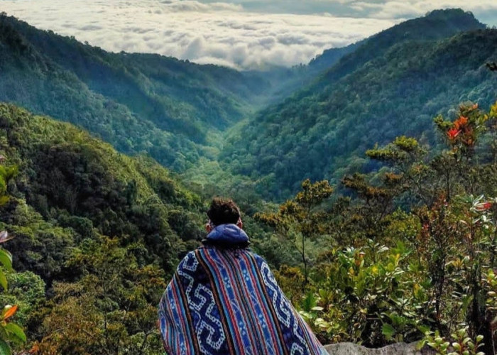 5 Wisata Gunung di Lampung Cocok untuk Pendaki Pemula, No.2 Perbatasan Antara Lampung dengan Sumatera Selatan