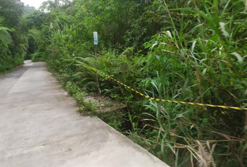 Tangani Titik Longsor dan Rumput Liar di Jalur Pekon Balak-Suoh