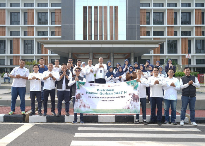  Tebar Kebahagiaan Idul Adha, PTBA Salurkan 300 Hewan Kurban di Berbagai Wilayah Operasional