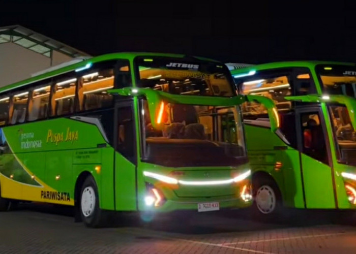 Update Tarif Bus Antar Provinsi Dari Lampung Selama Angkutan Lebaran 2024