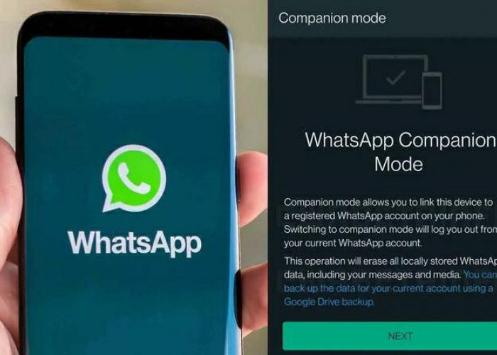 Menarik Nih, Satu Akun WhatsApp Bakal Bisa Diakses di 4 Hp Sekaligus, Simak Cara Berikut
