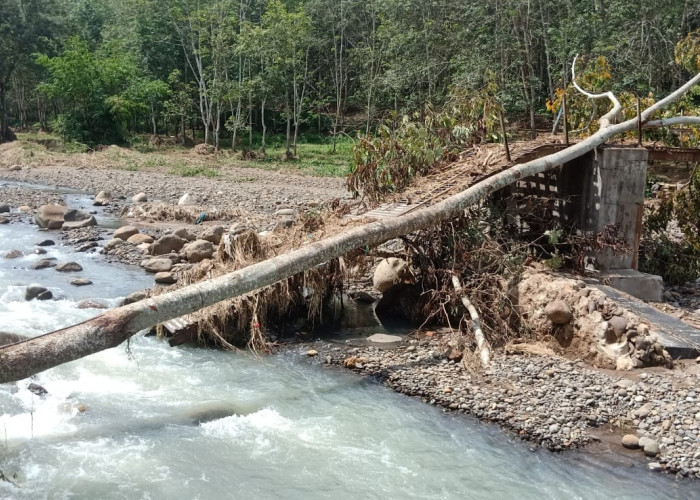 Tak Kunjung Diperbaiki, Begini Kondisi Jembatan Peninggalan Kolonial Belanda yang Putus Diterjang Banjir