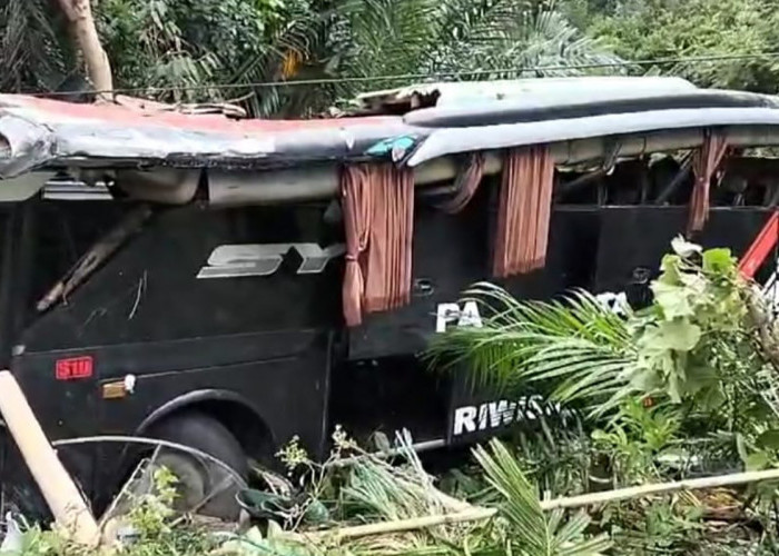Identifikasi Kecelakaan Tunggal Bus Rombongan Study Tour di Jalinbar Tanggamus Lampung, Hasilnya...