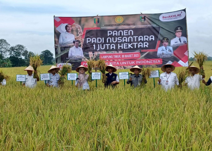 Lampung Timur Jadi Lokasi Program Panen Padi Nusantara Satu Juta Hektare