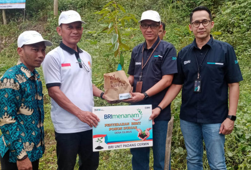 BRI Menanam, Kantor Cabang Teluk Betung Salurkan Bibit Durian di Pesawaran 