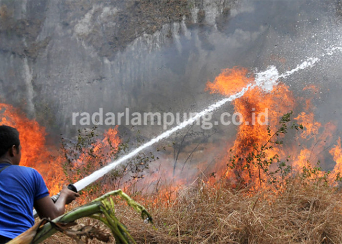 Kebakaran Semak di Samping RSUD Pringsewu Lampung, Alhamdulillah Pasien Aman 
