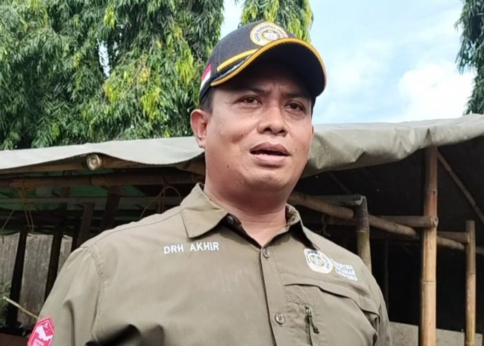 Balai Karantina Pertanian kelas I Bandar Lampung berbagai Tips Penanganan Rabies pada hewan