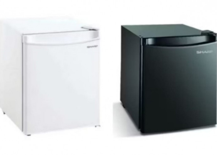 Kulkas Sharp SJ50MBXW, Lemari Es Portable Dengan Harga 1 Jutaan, Intip Fiturnya