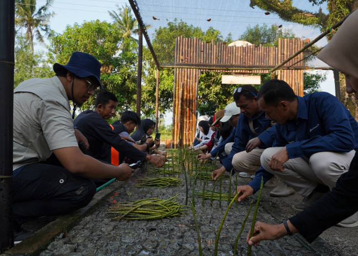 Resmikan NUSA di Pasir Sakti, PTBA Perkuat Rehabilitasi Mangrove Berbasis Masyarakat