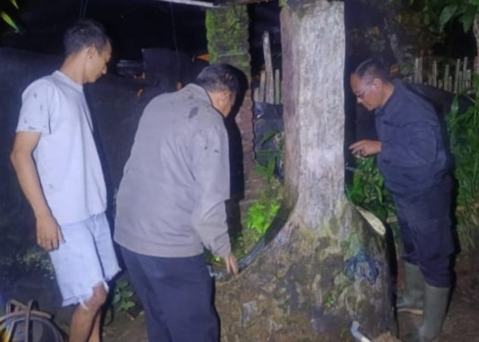 Lansia 88 Tahun di Pringsewu Ditemukan Meninggal dalam Sumur