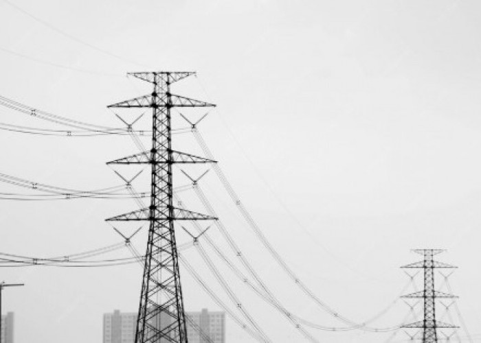 Target Listrik 100 Persen Pada Tahun 2029, Pemerintah Percepat Elektrifikasi Desa dan Energi Terbarukan