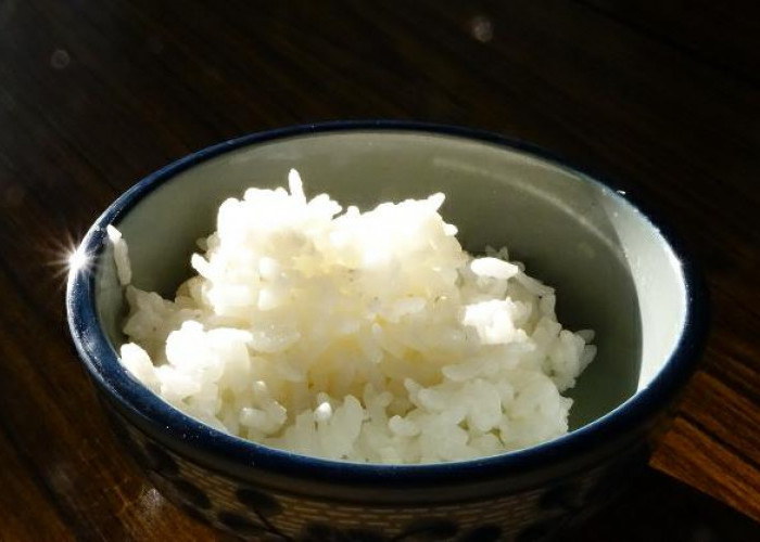 Simak! Selain Kaya Manfaat, Nasi Putih Ternyata Punya Dampak Buruk Bagi Kesehatan