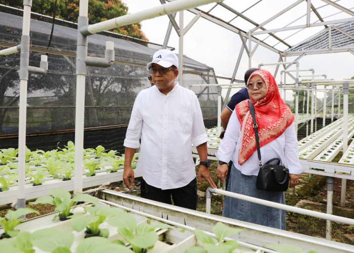 Miliki Potensi, Pj. Gubernur Samsudin Akan Promosi PKK Agropark 