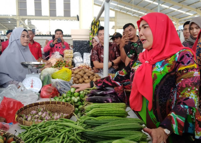 Resmikan Pasar Raya Lebak Budi, Bunda Eva Borong Sayuran Terong Kesukaannya 