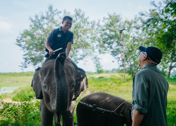 Prabowo Siapkan Rp 839 Miliar untuk Taman Nasional Way Kambas, Gubernur Lampung Sampaikan Apresiasi