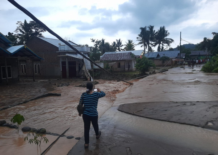 Banjir Melanda Sejumlah Wilayah di Kecamatan BNS Lampung Barat