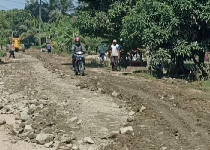 Swadaya, Warga Perbaiki Jalan Penghubung Kecamatan di Pringsewu