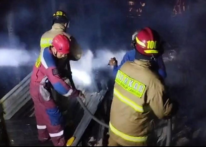 Gudang Pakan Ternak dan 15 Ekor Kambing Ludes Terbakar di Way Laga, Kerugian Capai Rp 65 Juta 
