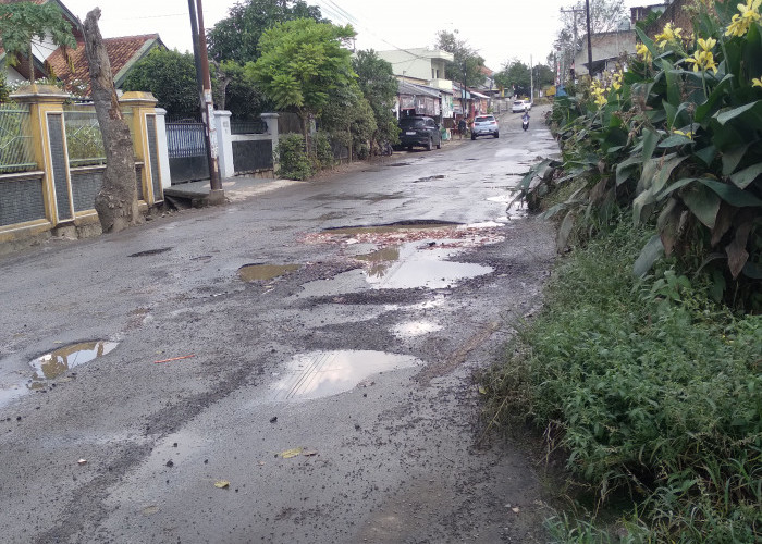 Terungkap, Ini Bocoran Ruas Jalan yang Bakal Diperbaiki Dinas PU Tahun 2025