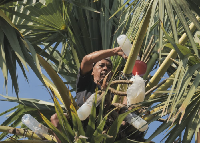 Desa Hendrosari Bangkit: Pembeli Datang, UMKM Tumbuh, Ekonomi Melaju Berkat Pemberdayaan Desa BRILian
