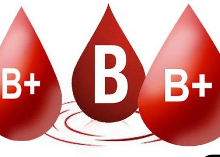 5 Fakta Menarik Orang Dengan Golongan Darah B yang Perlu Diketahui, Salah Satunya Mandiri dan Antusias 