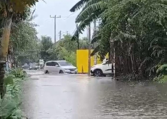 Banjir Kembali Melanda Pemukiman Warga Sukarame, Drainase Buruk Jadi Penyebab Utama Banjir