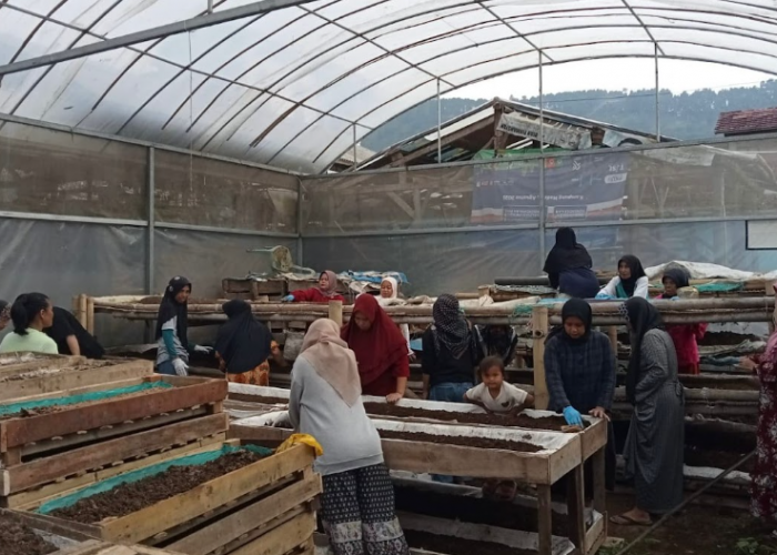 Ubah Limbah Jadi Sumber Penghidupan, Nasabah PNM Mekaar Sukses Kembangkan Usaha lewat Sinergi Ultra Mikro BRI