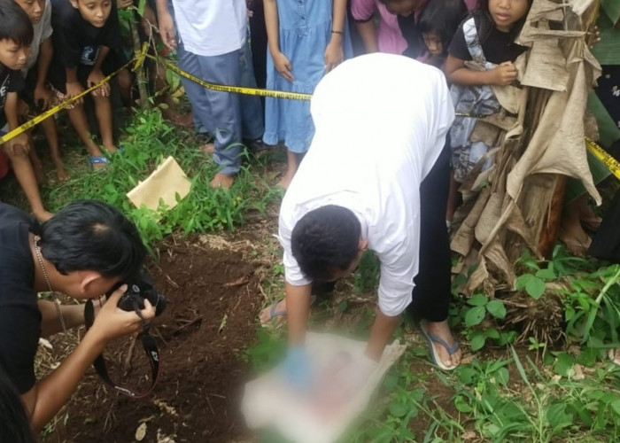 Geger! Mayat Bayi Perempuan Ditemukan di Tanggamus Lampung, Kondisinya Begini  