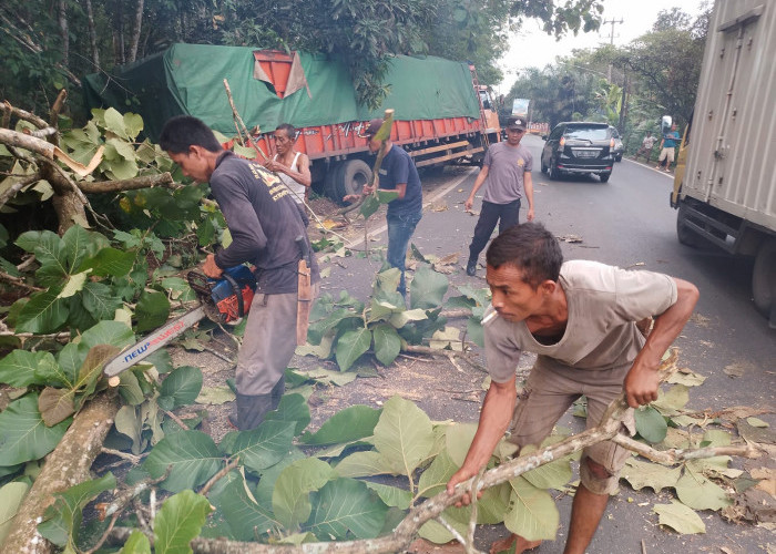 Dibantu Warga, Polisi  Evakuasi Pohon Tumbang di Jalintengsum