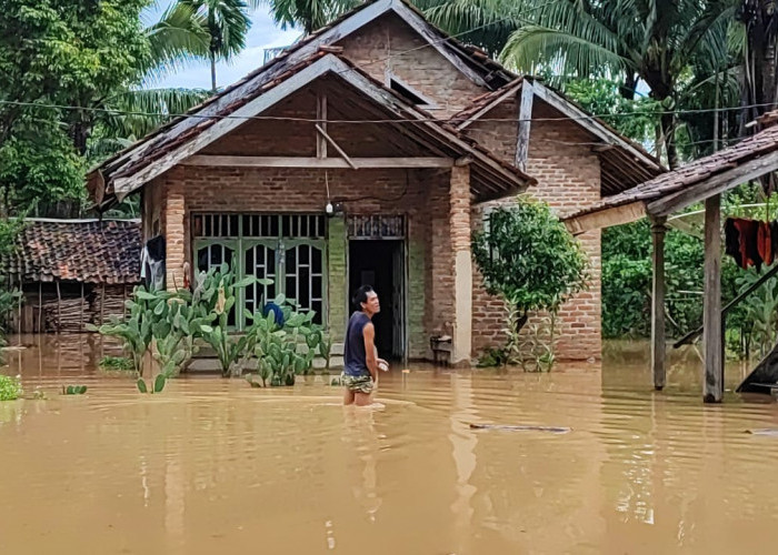 Dampak Intensitas Hujan Tinggi, Luapan Air Sungai Way Besai Buat Warga Rugi hingga Ratusan Juta