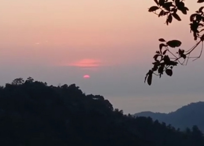 Pesona Desa Alam Bukit Lestari Pesawaran Lampung, Dilengkapi Penginapan Murah Dengan View Indah 